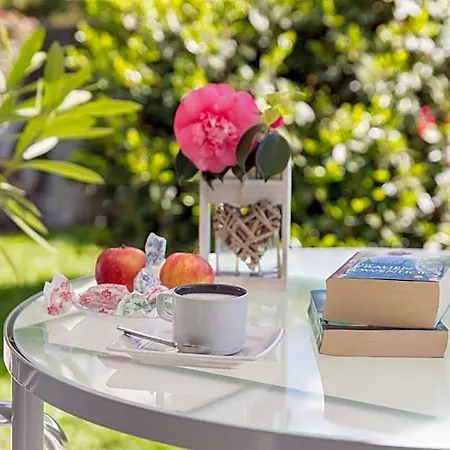 Hotell Smart-hotel Minusio, A Swiss Quality Minusio